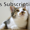 Cats Subscription?