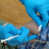 COVID Vaccine